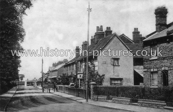 Writtle Road, Chelmsford, Essex. c.1907